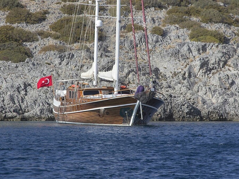 DREAMLAND (LUXER CLASS)